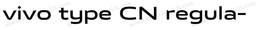 vivo type CN regula字体转换